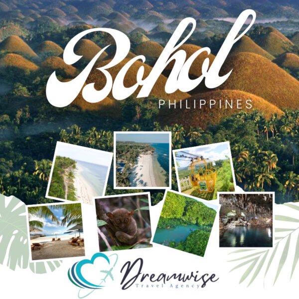 Bohol Delights: Explore Nature's Treasures